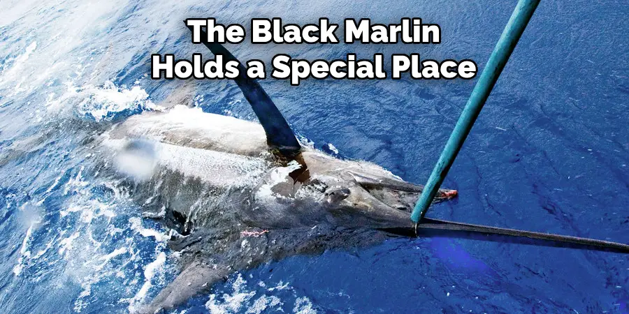 The Black Marlin Holds a Special Place