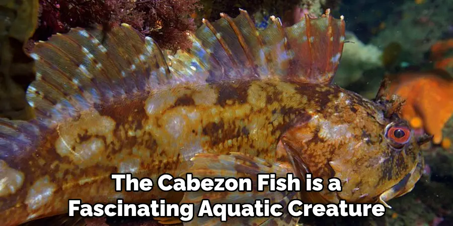 The Cabezon Fish is a Fascinating Aquatic Creature