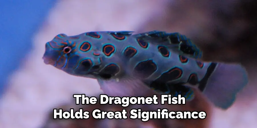 The Dragonet Fish Holds Great Significance