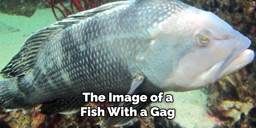 The Image of a Fish With a Gag