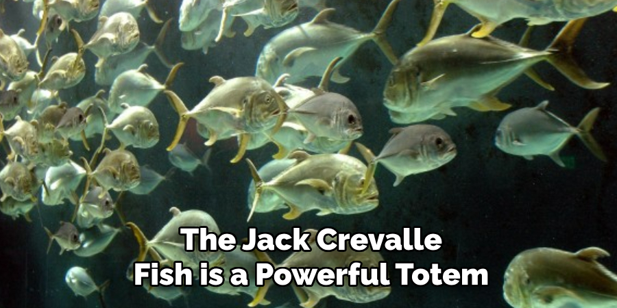 The Jack Crevalle Fish is a Powerful Totem