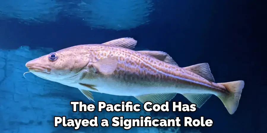 The Pacific Cod Has Played a Significant Role