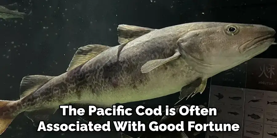 The Pacific Cod is Often Associated With Good Fortune
