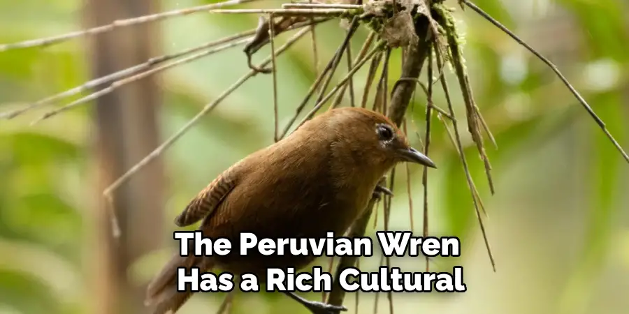 The Peruvian Wren Has a Rich Cultural
