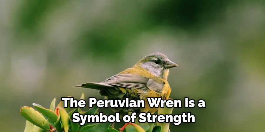 The Peruvian Wren is a Symbol of Strength