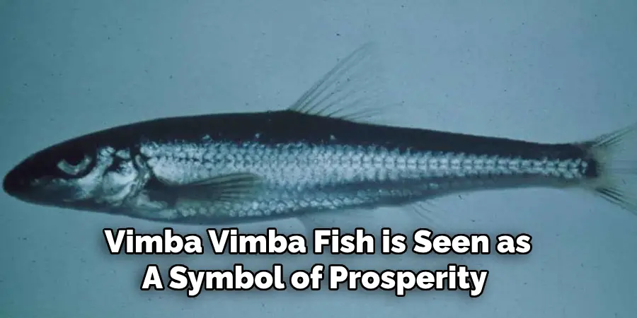 Vimba Vimba Fish is Seen as A Symbol of Prosperity