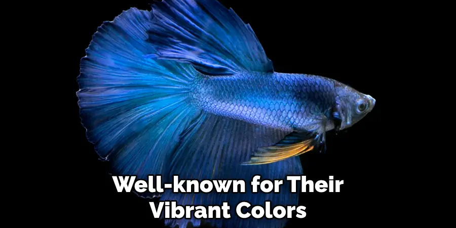 Well-known for Their Vibrant Colors