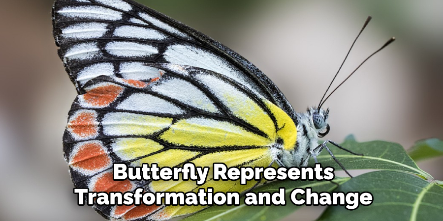 Butterfly Represents Transformation and Change
