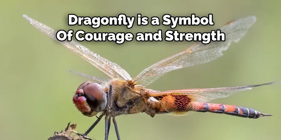 Dragonfly is a Symbol Of Courage and Strength