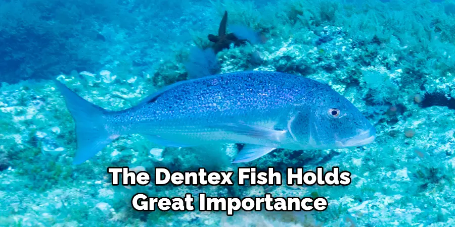 The Dentex Fish Holds Great Importance