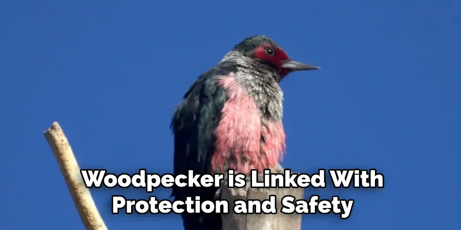 Woodpecker is Linked With Protection and Safety