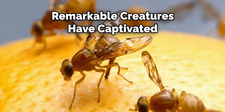 remarkable creatures have captivated