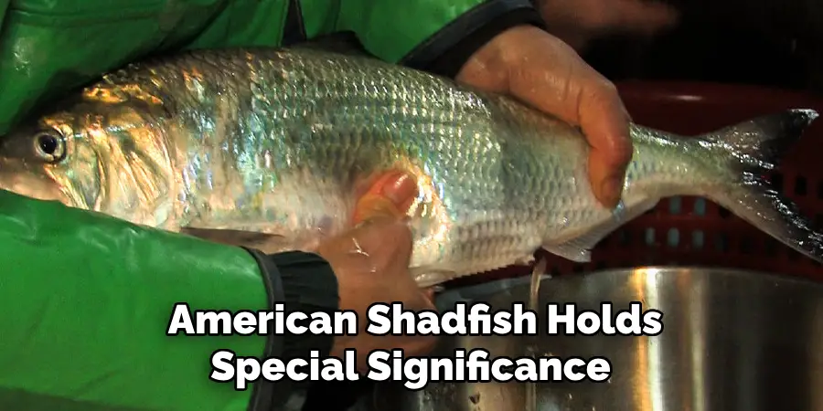 American Shadfish Holds Special Significance