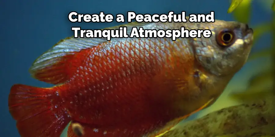 Create a Peaceful and Tranquil Atmosphere