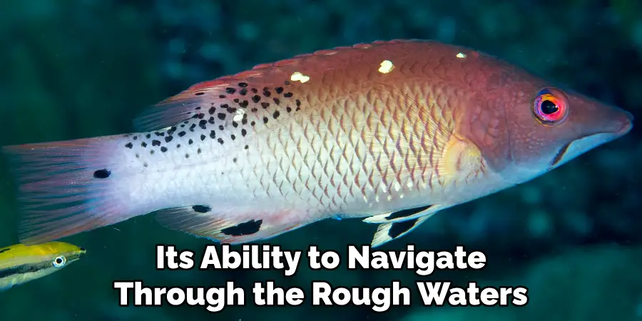 Its Ability to Navigate Through the Rough Waters