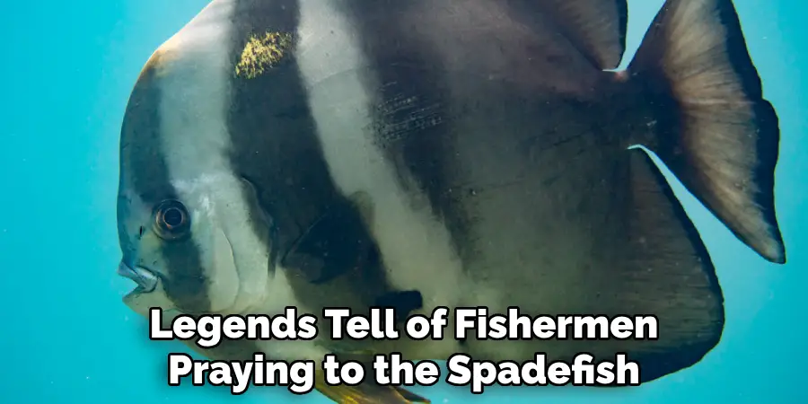 Legends Tell of Fishermen Praying to the Spadefish