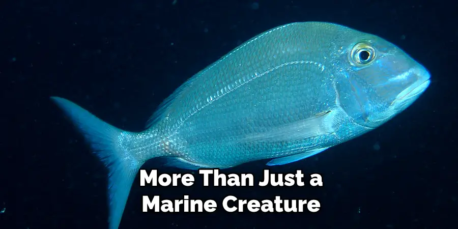 More Than Just a Marine Creature