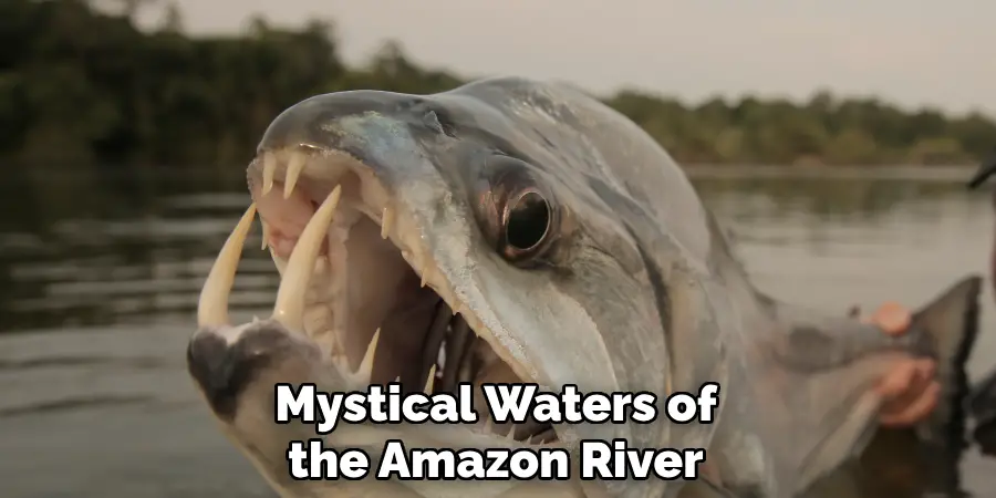 Mystical Waters of the Amazon River