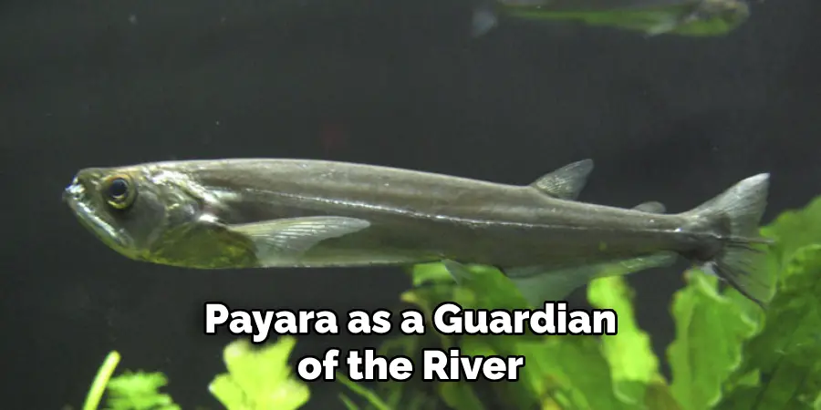 Payara as a Guardian of the River