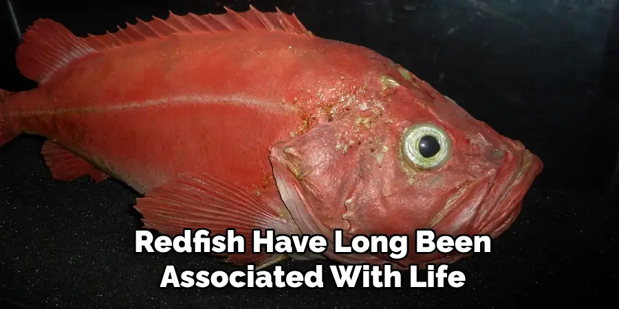 Redfish Have Long Been Associated With Life