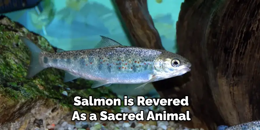 Salmon is Revered As a Sacred Animal