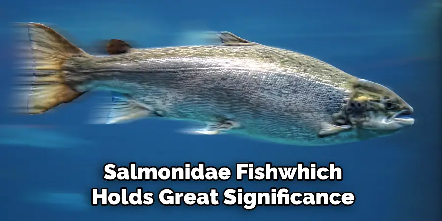 Salmonidae Fishwhich Holds Great Significance