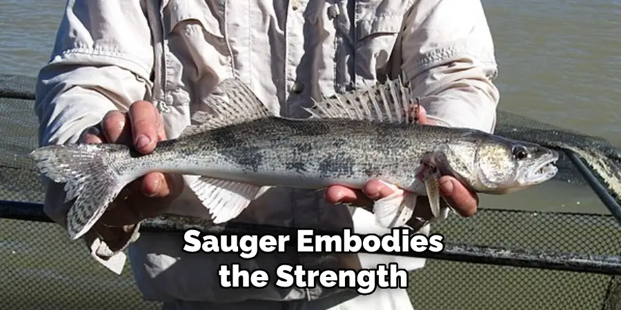 Sauger Embodies the Strength