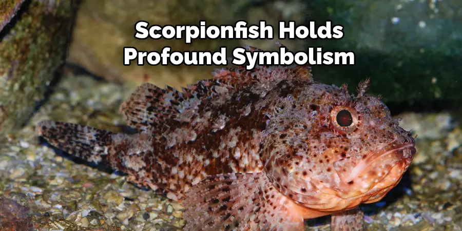 Scorpionfish Holds Profound Symbolism