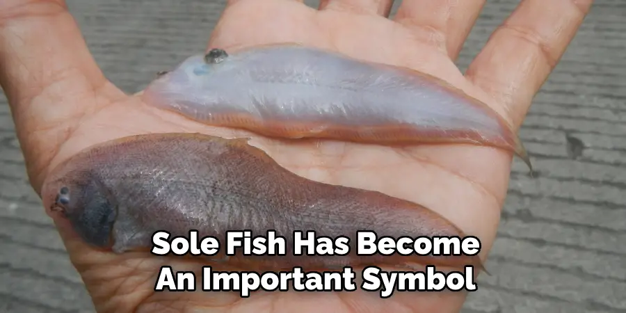 Sole Fish Has Become An Important Symbol