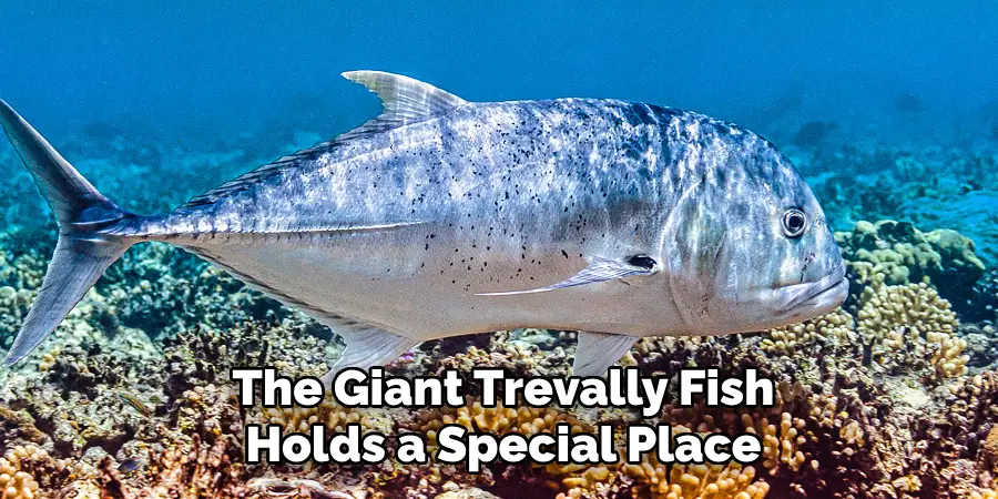 The Giant Trevally Fish Holds a Special Place