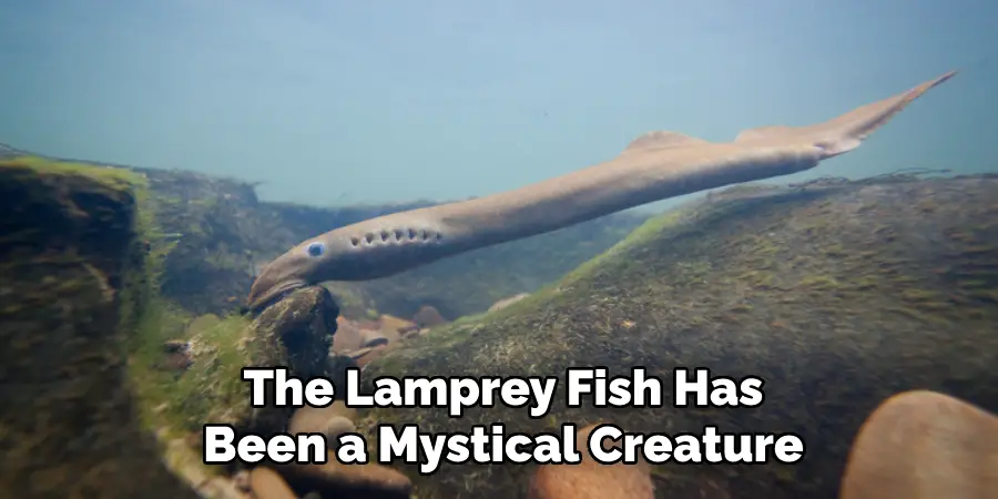 The Lamprey Fish Has Been a Mystical Creature