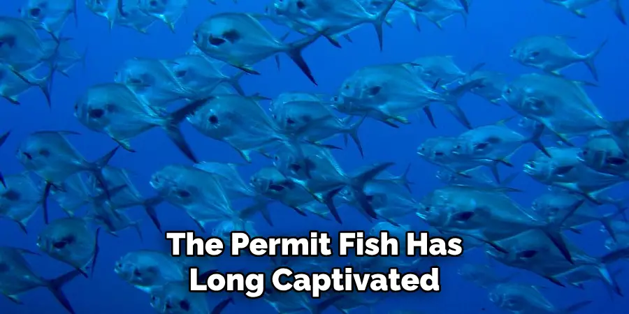 The Permit Fish Has Long Captivated