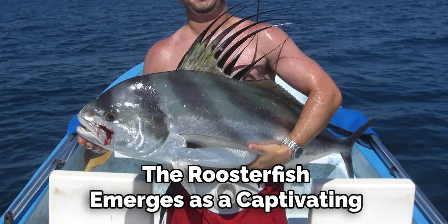 The Roosterfish Emerges as a Captivating