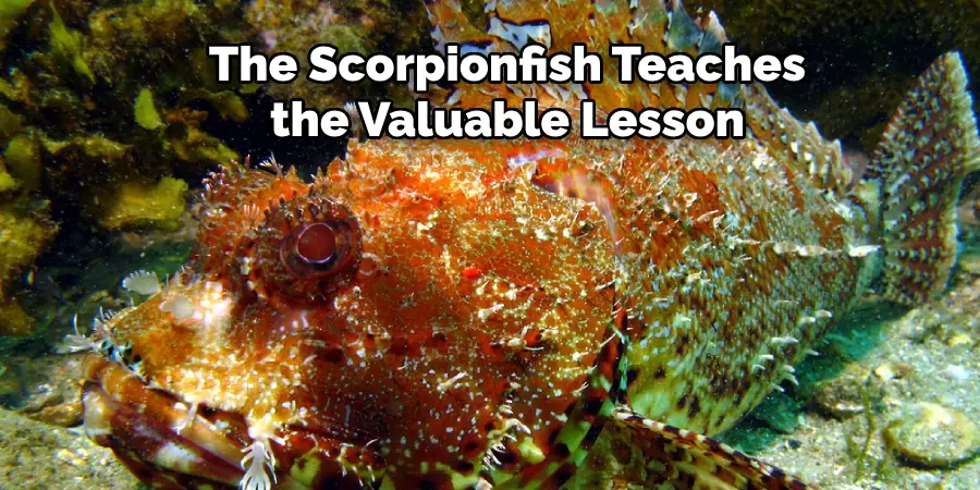 The Scorpionfish Teaches the Valuable Lesson