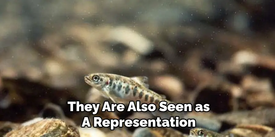 They Are Also Seen as A Representation