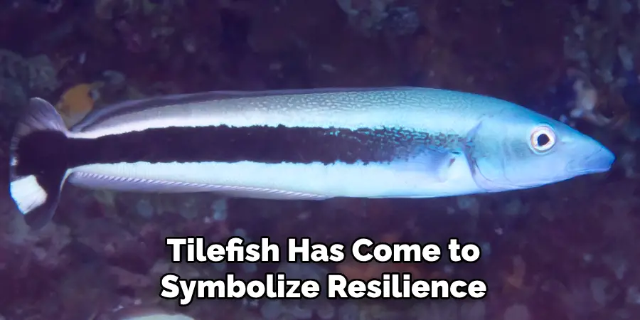 Tilefish Has Come to Symbolize Resilience