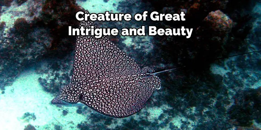 Creature of Great Intrigue and Beauty