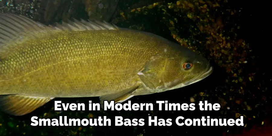 Even in Modern Times the Smallmouth Bass Has Continued