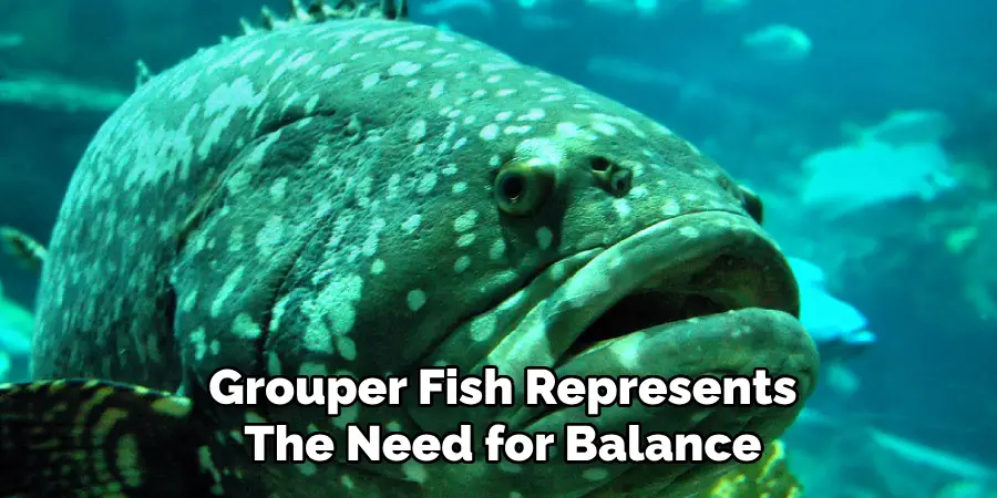 Grouper Fish Represents The Need for Balance