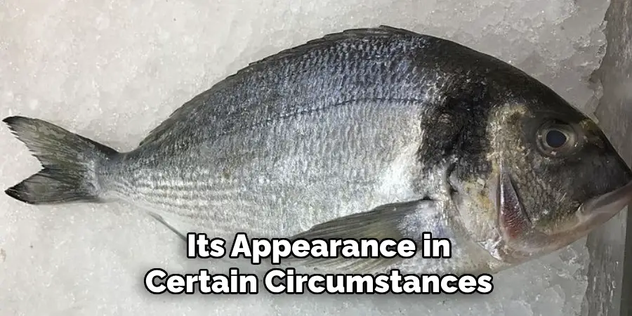 Its Appearance in Certain Circumstances