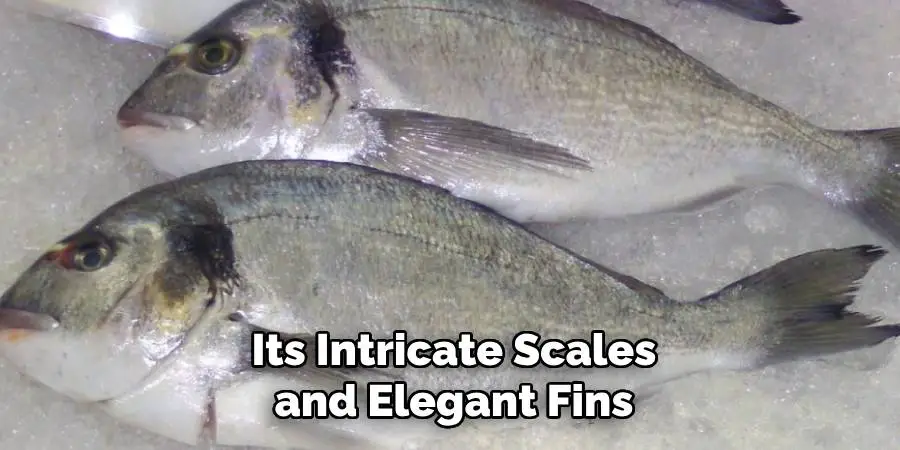 Its Intricate Scales and Elegant Fins