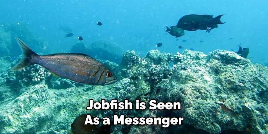 Jobfish is Seen As a Messenger