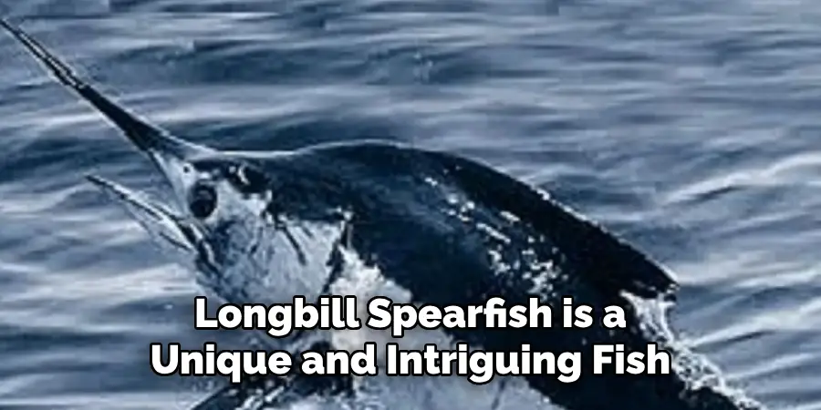 Longbill Spearfish is a Unique and Intriguing Fish