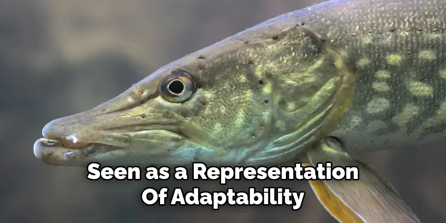 Seen as a Representation Of Adaptability