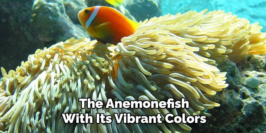 The Anemonefish With Its Vibrant Colors