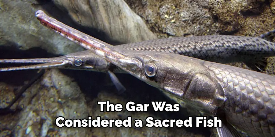 The Gar Was Considered a Sacred Fish