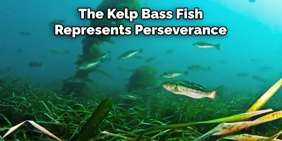 The Kelp Bass Fish Represents Perseverance