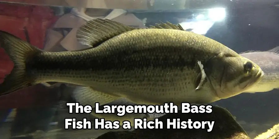 The Largemouth Bass Fish Has a Rich History