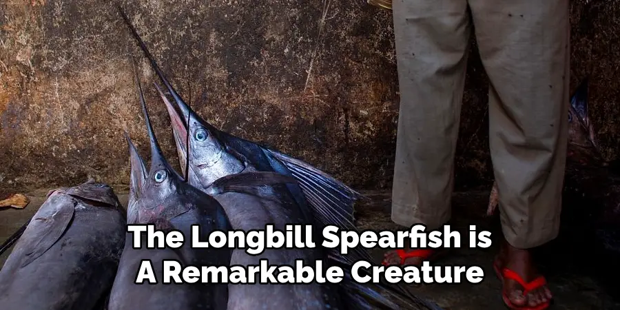 The Longbill Spearfish is A Remarkable Creature