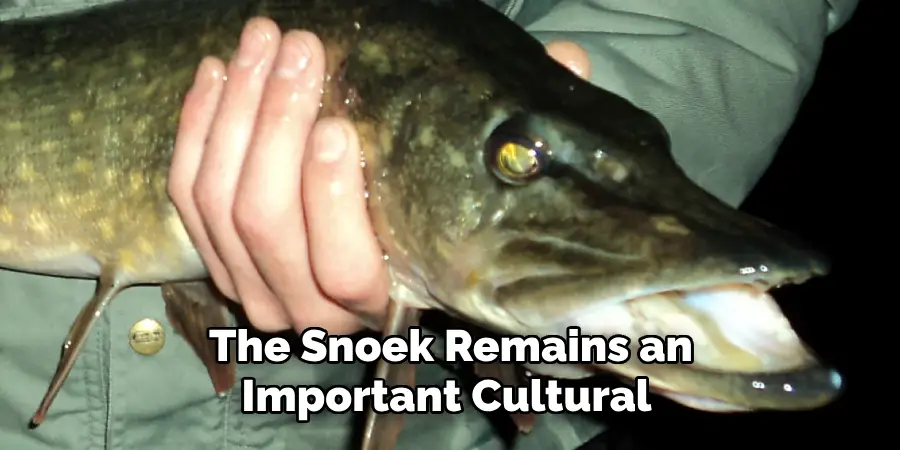 The Snoek Remains an Important Cultural